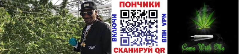 Бошки Шишки OG Kush  Купить  Ряжск 